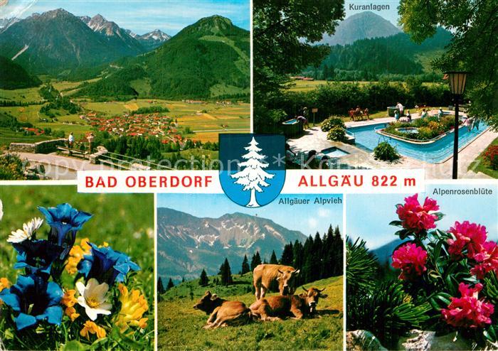 Bad Oberdorf Allgaeuer Alpvieh Alpenrosenbluete Kneippbad Panorama Enzian