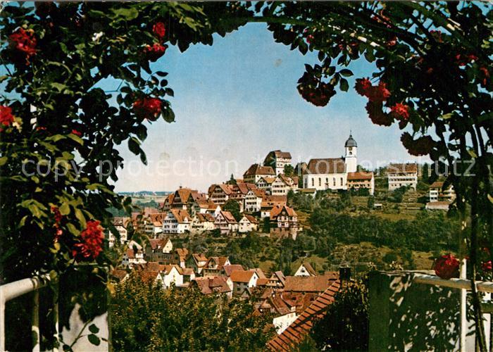 Altensteig Schwarzwald Kirhe Panorama