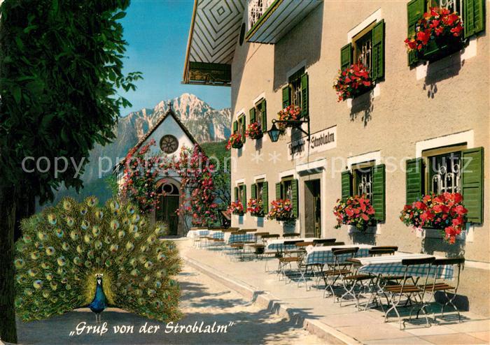 Anger Chiemgau Stroblalm am Hoegl Hochstaufen