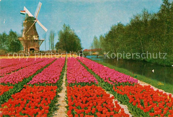Lisse Keukenhof