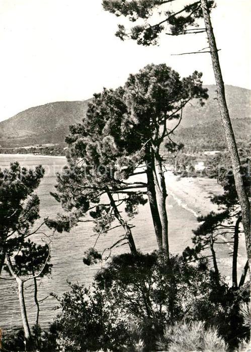 Saint Tropez Var Panorama