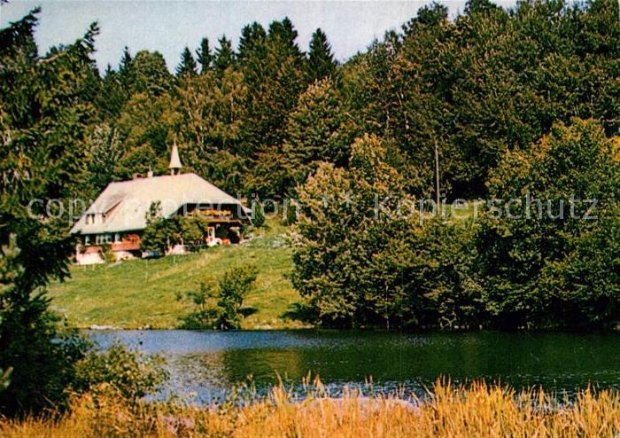 Blasien St Klosterweiher