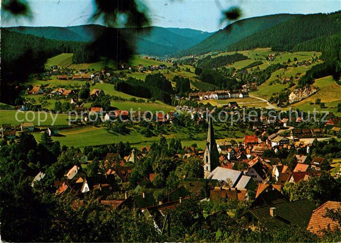 Baiersbronn Schwarzwald Panorama