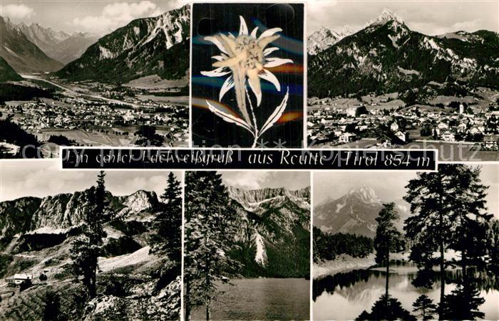 Edelweiss Reutte Tirol