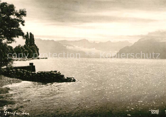 Foto Popp Nr. 3329 Genfer See