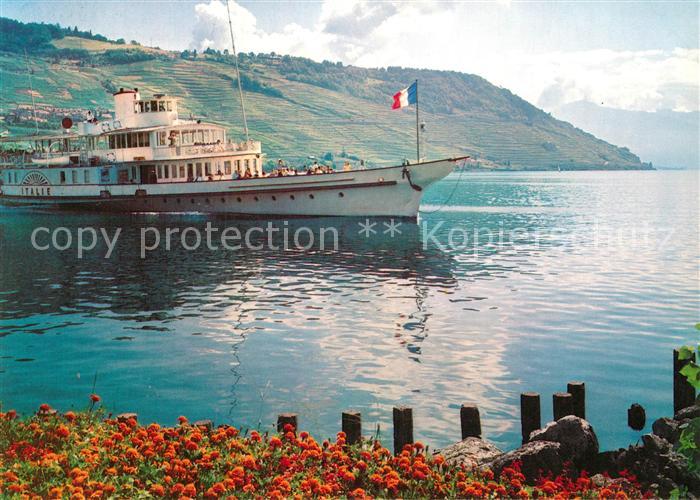 Dampfer Seitenrad Italie Lac Leman
