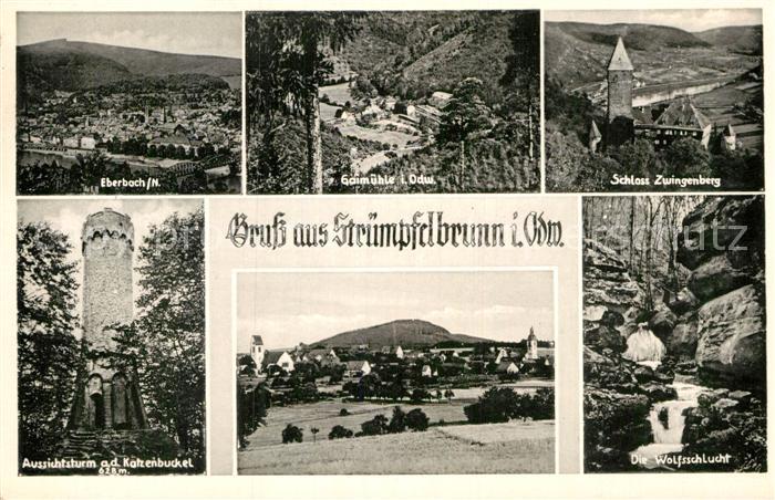 Struempfelbrunn Eberbach Gaimuehle Schloss Zwingenberg Aussichtsturm Katzenbucke