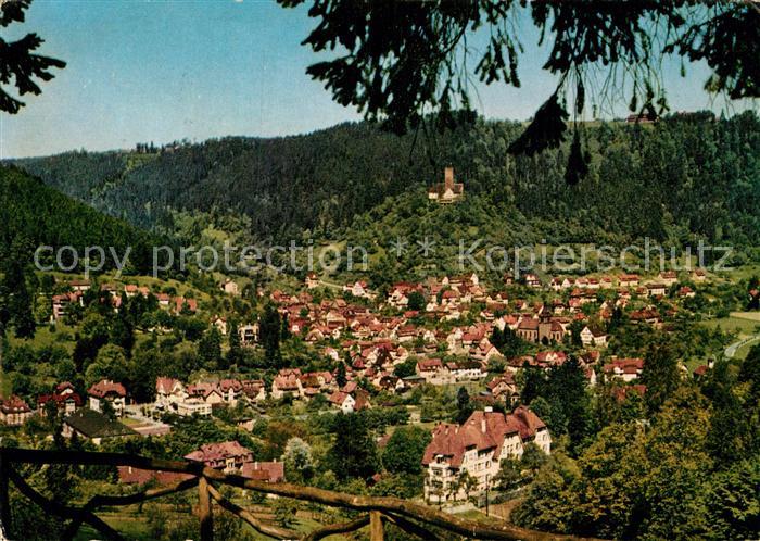 Bad Liebenzell Ortsblick
