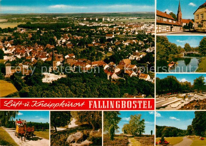 Fallingbostel Panorama Pferdekutsche Teilansichten