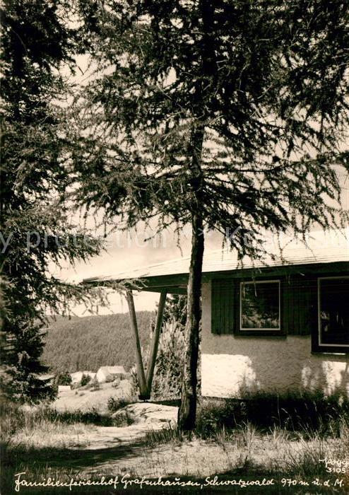 Grafenhausen Schwarzwald Familienferienhof