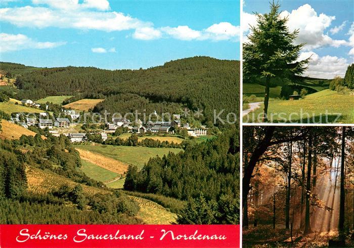Nordenau Panorama Waldpartie