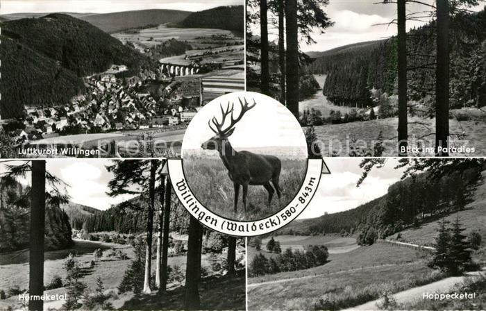 Willingen Sauerland Panorama Blick ins Paradies Hermeketal Hoppecketal Hirsch