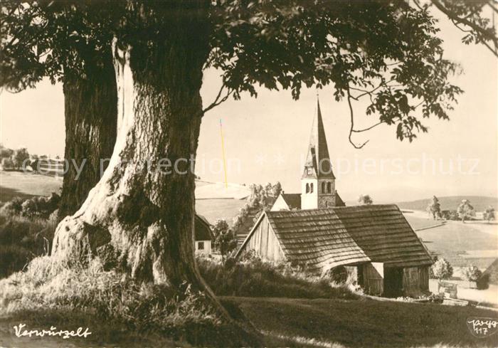Schwarzwald Kapelle Alter Baum