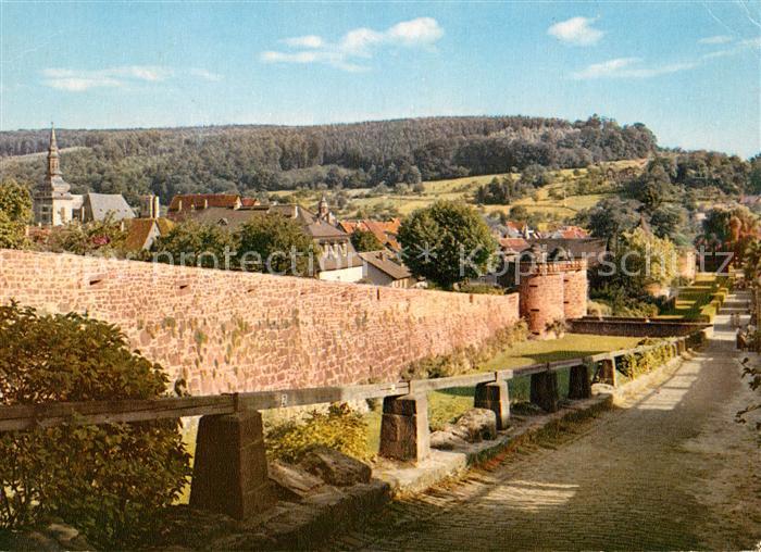 Buedingen Hessen Lohsteg mit Wehrtuermen