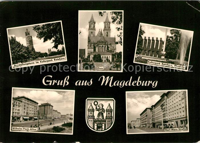 Magdeburg Kulturpark Rotehorn Aussichtsturm und Pferdetor Dom Wilhelm Pieck Alle