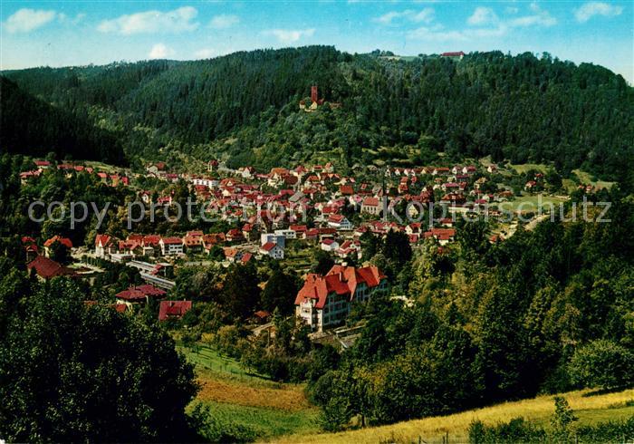 Bad Liebenzell Panorama mit Burg