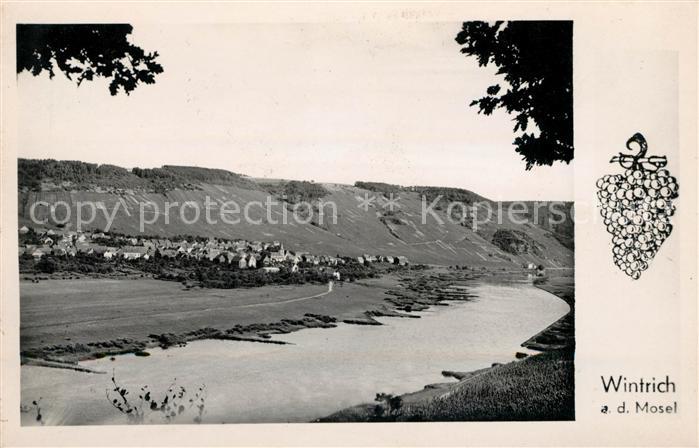 Wintrich Moselpartie