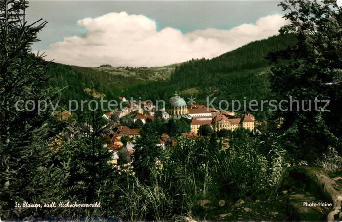 St Blasien Ortsansicht mit Dom