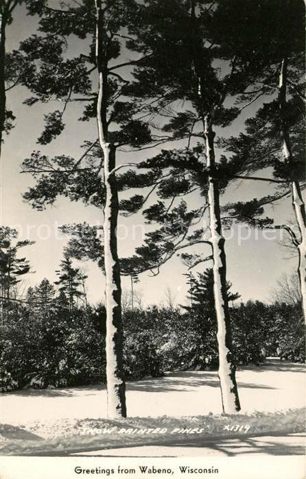 Wabeno Landschaftsmotiv