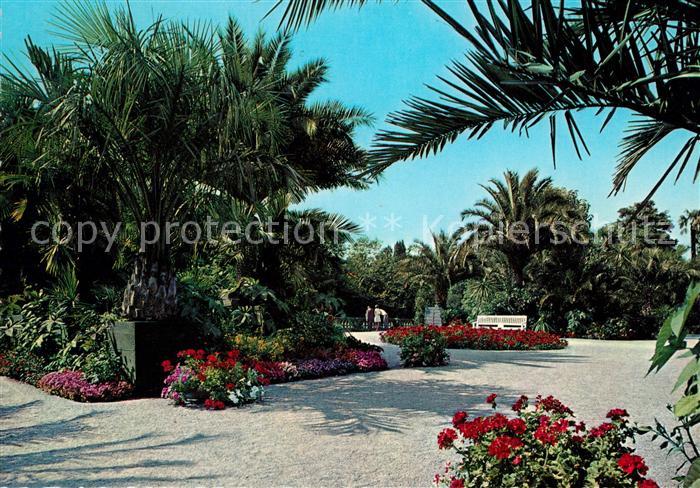 Bad Pyrmont Palmengarten im Kurpark