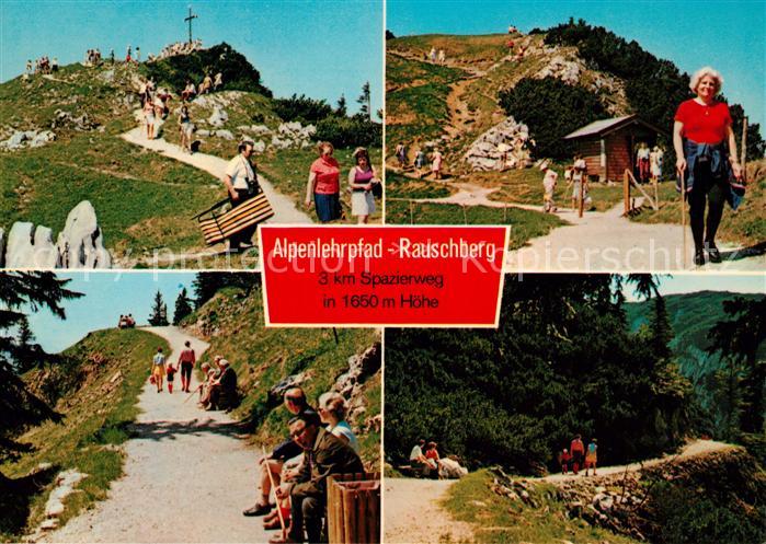 Ruhpolding Alpenlehrpfad Rauschberg Spazierweg