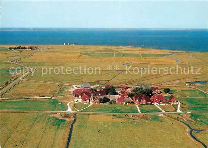 Hallig Hooge Hanswarft und Backenwarft Fliegeraufnahme
