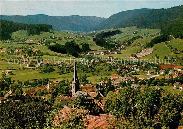 Baiersbronn Schwarzwald Panorama