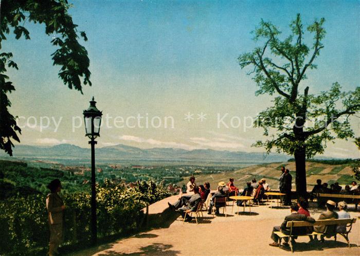 BADENWEILER BW Vogesenblick