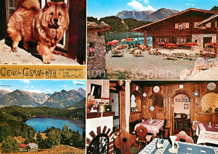 Freibergsee Cow Cow Huette Panorama Terrasse Gaststube