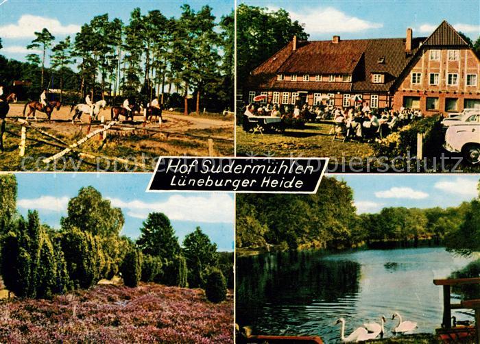 Egestorf Nordheide Hof Sudermuehlen Hotel Reitpferde Schwanenteich