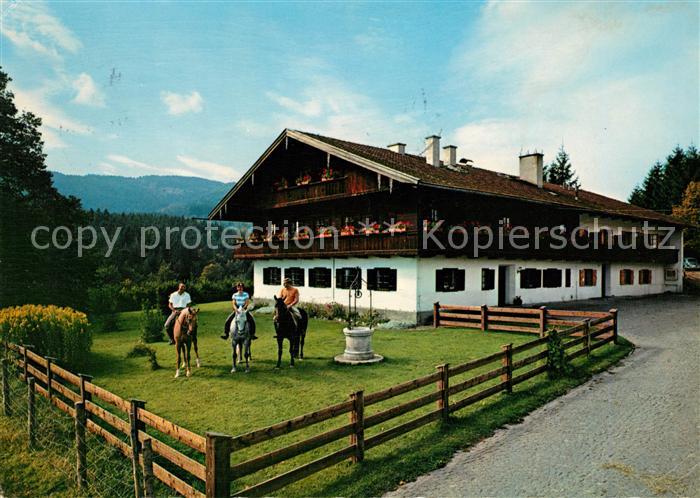 Tegernsee Gut Steinbeg Gaestehaus Reitschule Margarethenhof