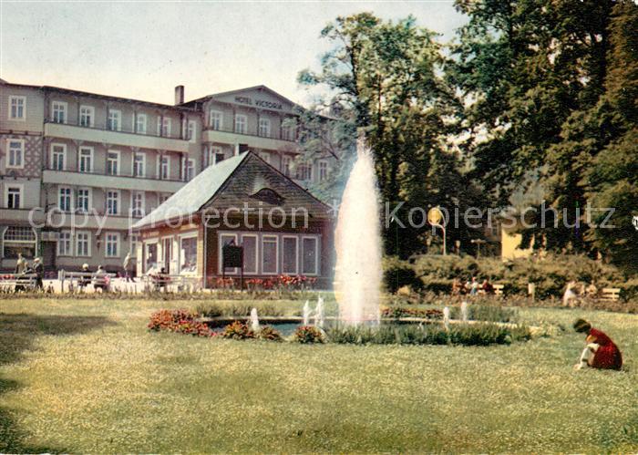 Bad Harzburg Hotel Victoria Leuchtfontaene