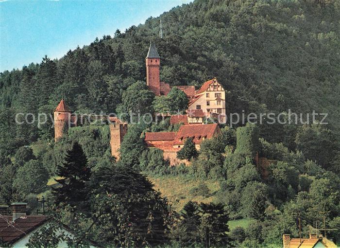 Hirschhorn Neckar Burg Hirschhorn