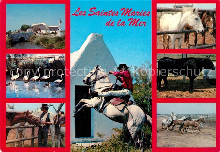 Saintes-Maries-de-la-Mer Camargue Pferde