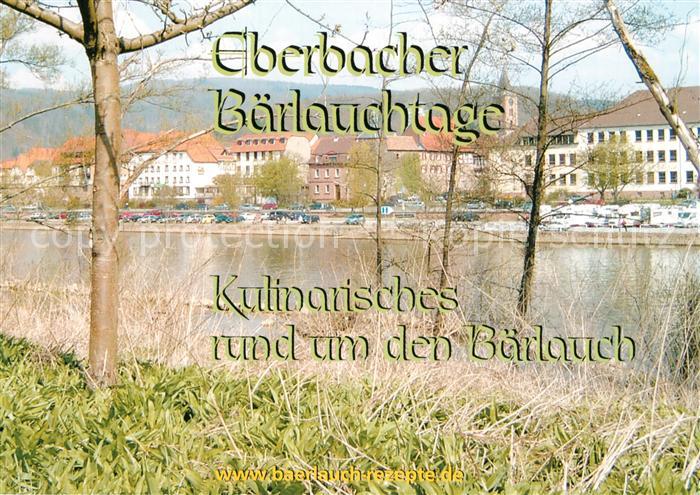 Eberbach Neckar Baerlauchtage