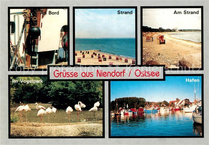 Niendorf Ostseebad Hafen An Bord Vogelpark