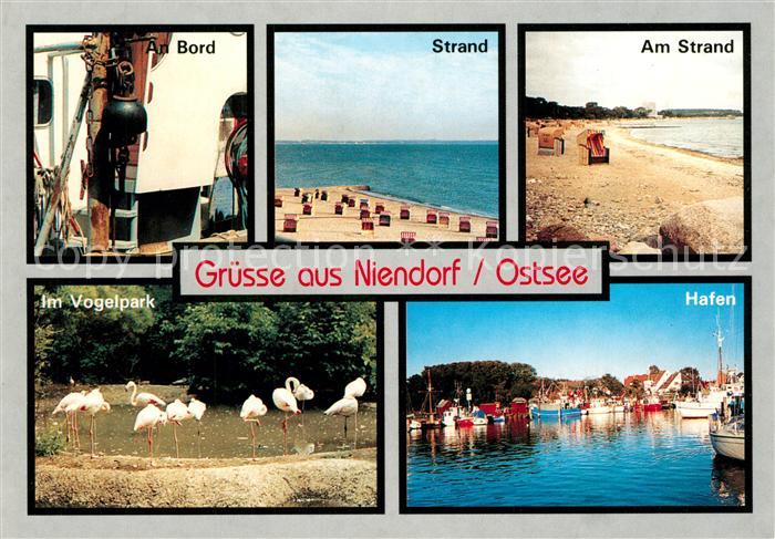 Niendorf Ostseebad An Bord Hafen Vogelpark
