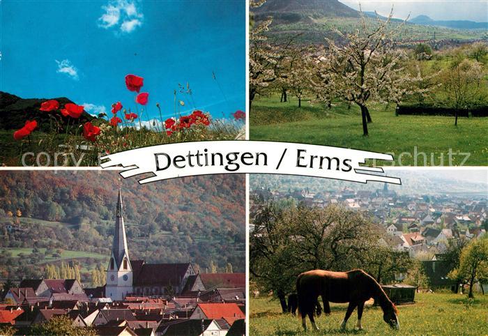Dettingen Erms Kirche Wiesen Mohnblumen Pferdekoppel