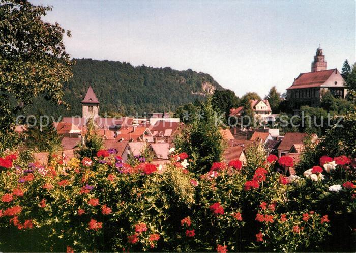 Oberndorf Neckar Panorama Kirche
