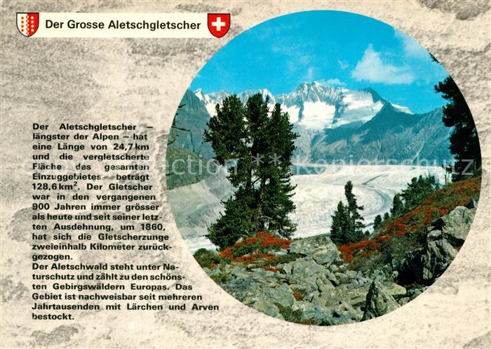 Gletscher Aletschgletscher