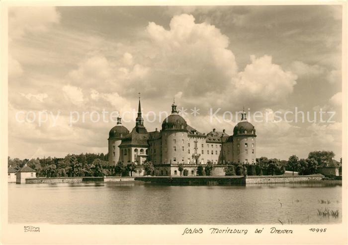 Foto Hahn Nr. 10995 Schloss Moritzburg Dresden