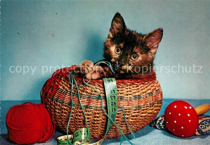 Katzen Wolle Massband