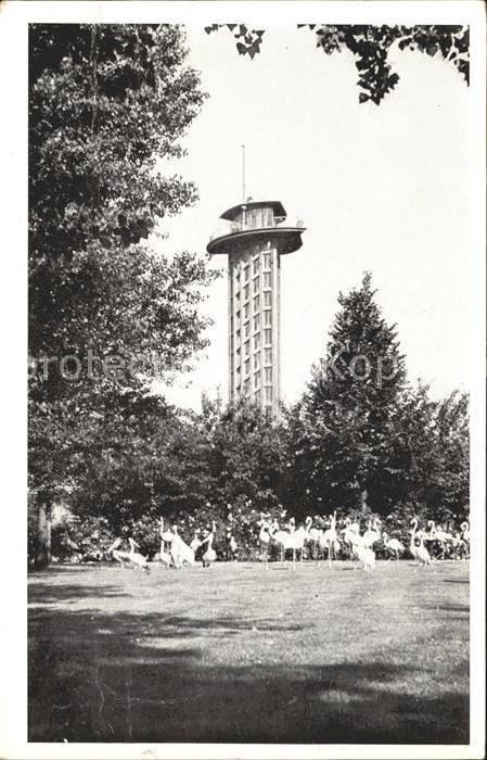 Rotterdam Uitkijktoren Flamingo Weide