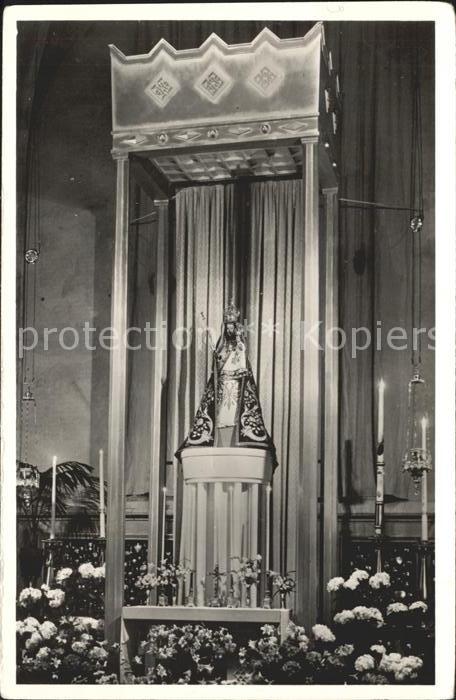 S-Hertogenbosch Wonderbeeld Bosch Kathedrale Basiliek St. Jan