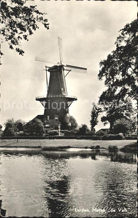 Leiden Molen Valk