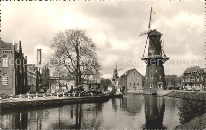 Schiedam Walvis Molen