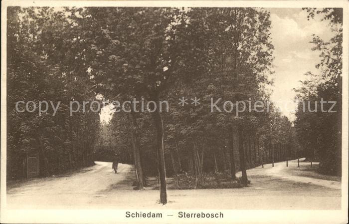 Schiedam Sterrebosch