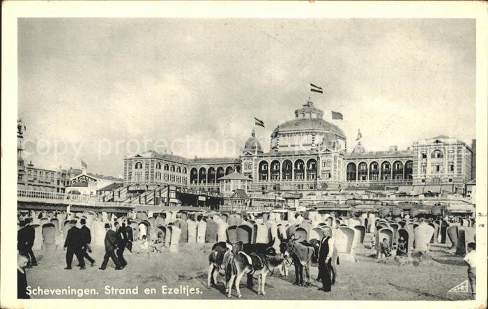 Scheveningen Strand Ezeltjes