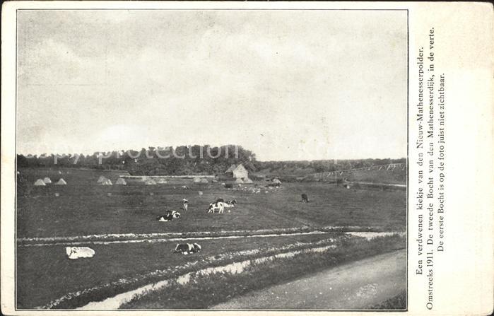Nieuw Mathenesse Panorama