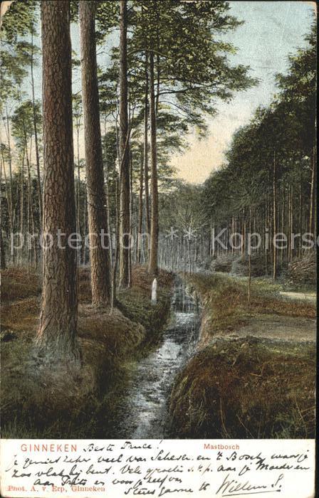 Ginneken Mastbosch